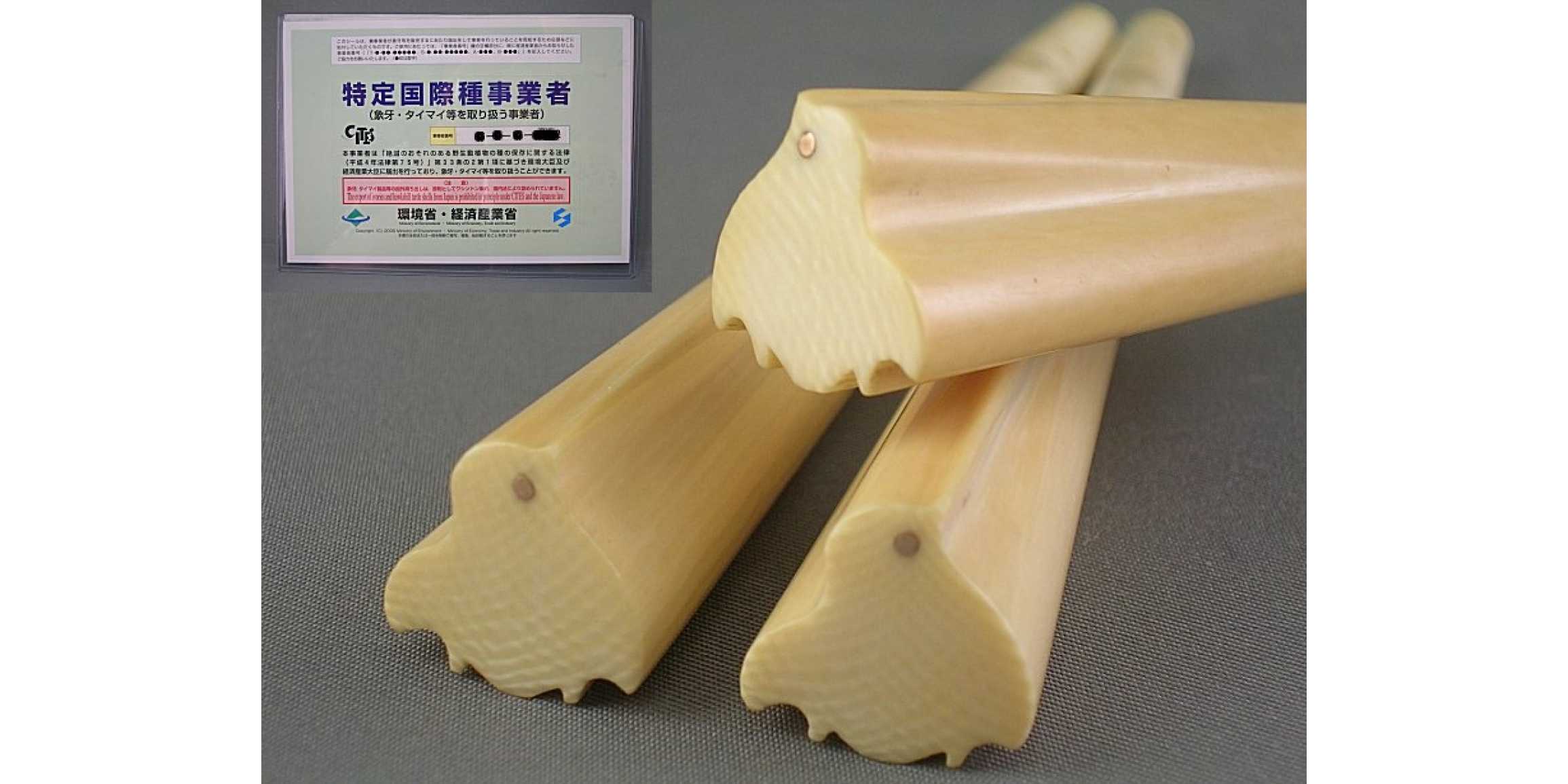 三味線バチ 7本と糸巻き2本 三味線バチ 7本と糸巻き2本 2025年最新